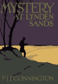 Cover of Mystery at Lynden Sands — Readin...